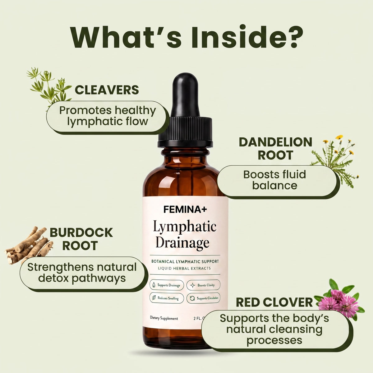 What's inside FEMINA+ - four botanical extracts